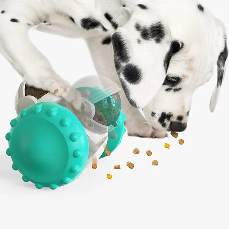 Slow Food Interactive Balance - PetSelect.Shop