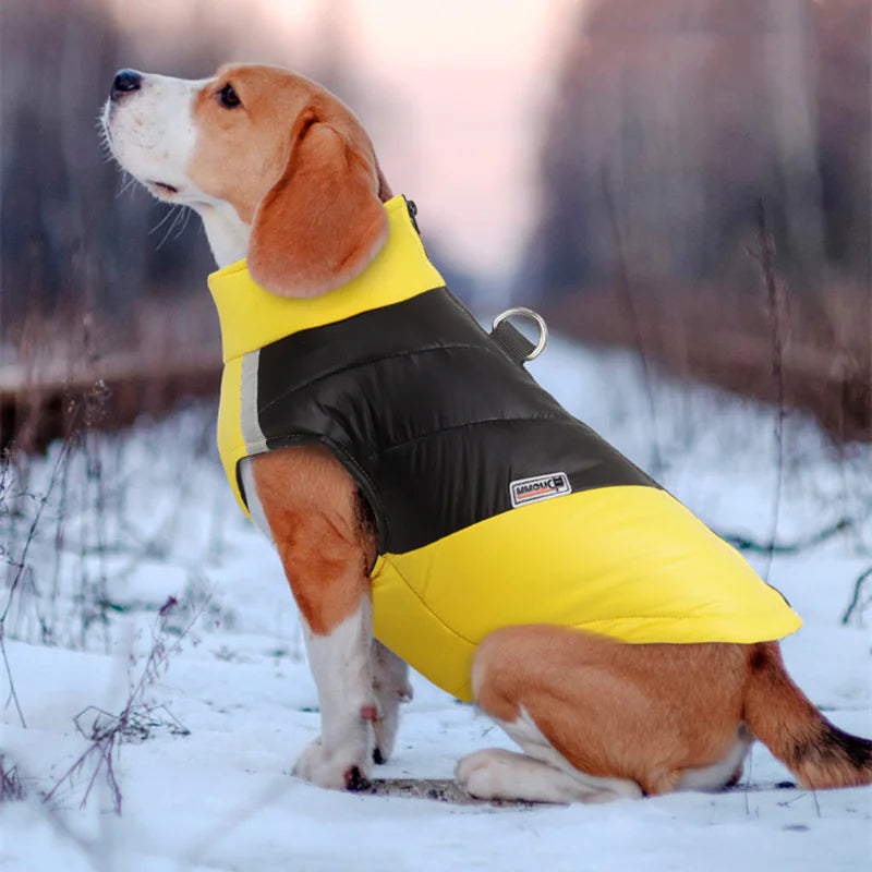 Waterproof Reflective Dog Clothes - PetSelect.Shop