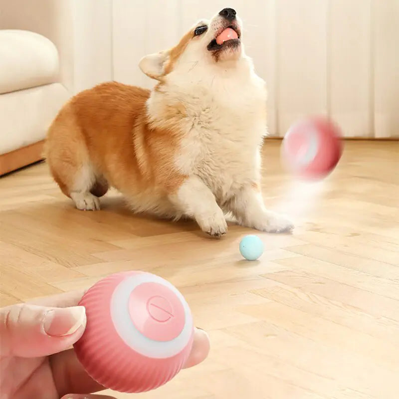 Electric Dog Toys Smart Puppy Ball Toys For Cat Small Dogs Funny Auto Rolling Ball Self-moving Puppy Games Toys Pet Accessories - PetSelect.Shop