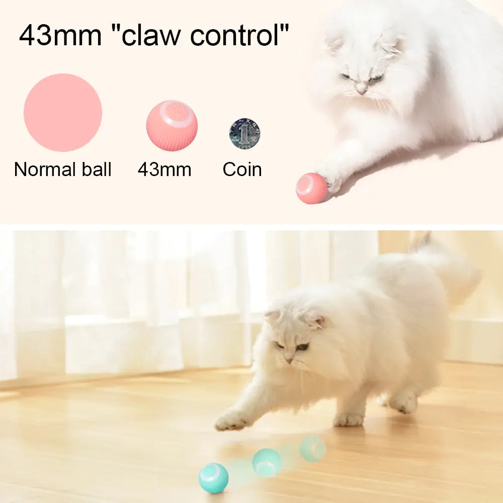 Self Moving Kitten Toys - PetSelect.Shop