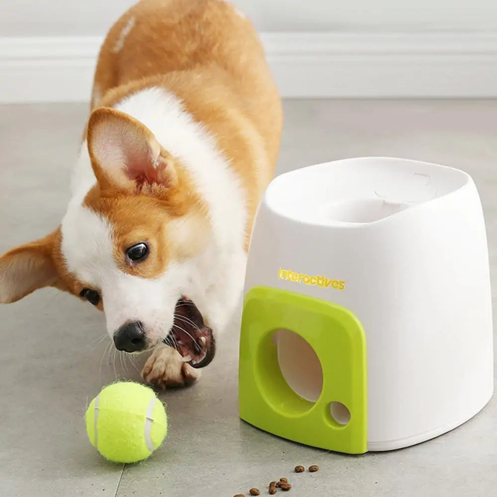 Automatic Interactive Pet Toy - PetSelect.Shop