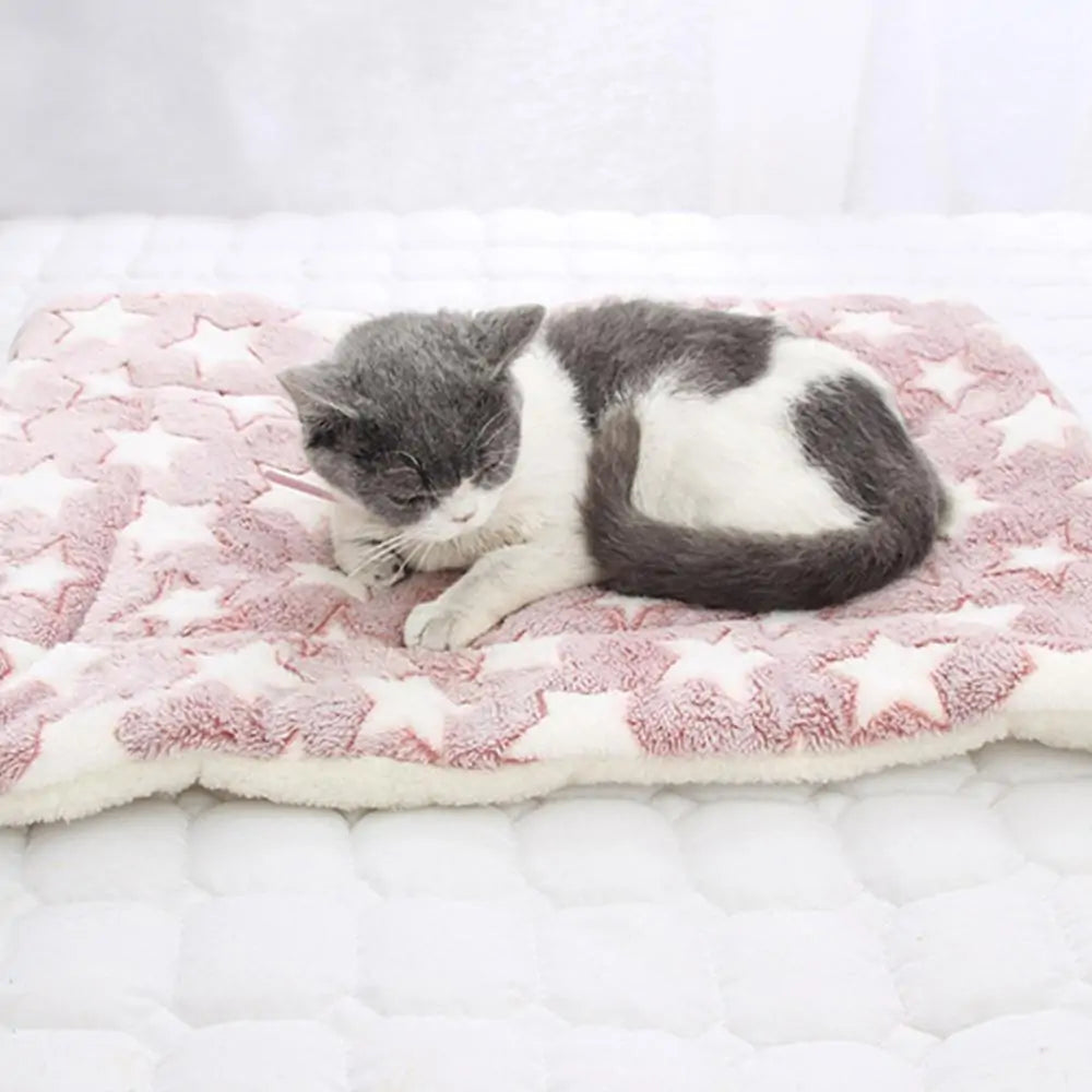 Pet Blanket - PetSelect.Shop