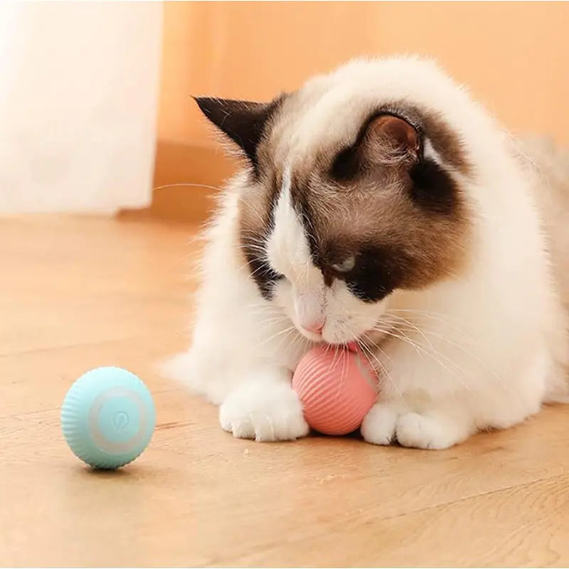 Electric Dog Toys Smart Puppy Ball Toys For Cat Small Dogs Funny Auto Rolling Ball Self-moving Puppy Games Toys Pet Accessories - PetSelect.Shop