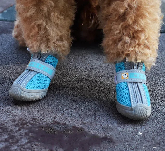 Pet Shoes - PetSelect.Shop