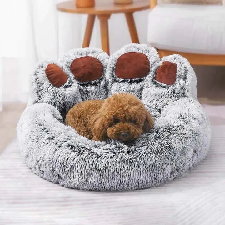 Bear Paw Small Dog Bed - PetSelect.Shop