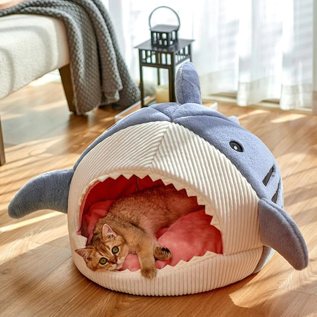 The Shark Pet Bed - PetSelect.Shop