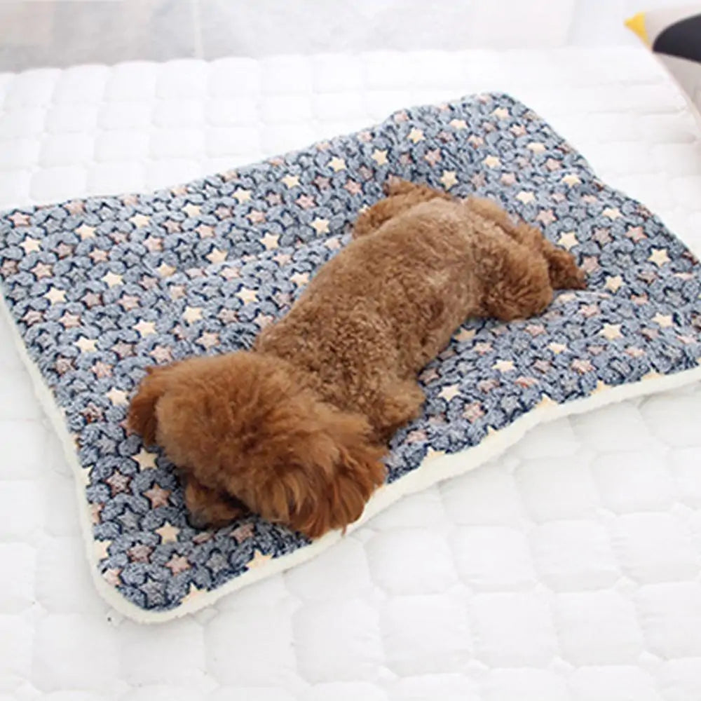 Pet Blanket - PetSelect.Shop