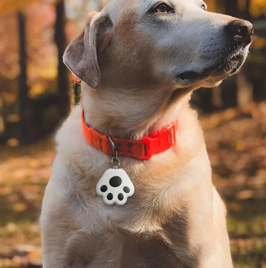 PawGuard Tracker - PetSelect.Shop