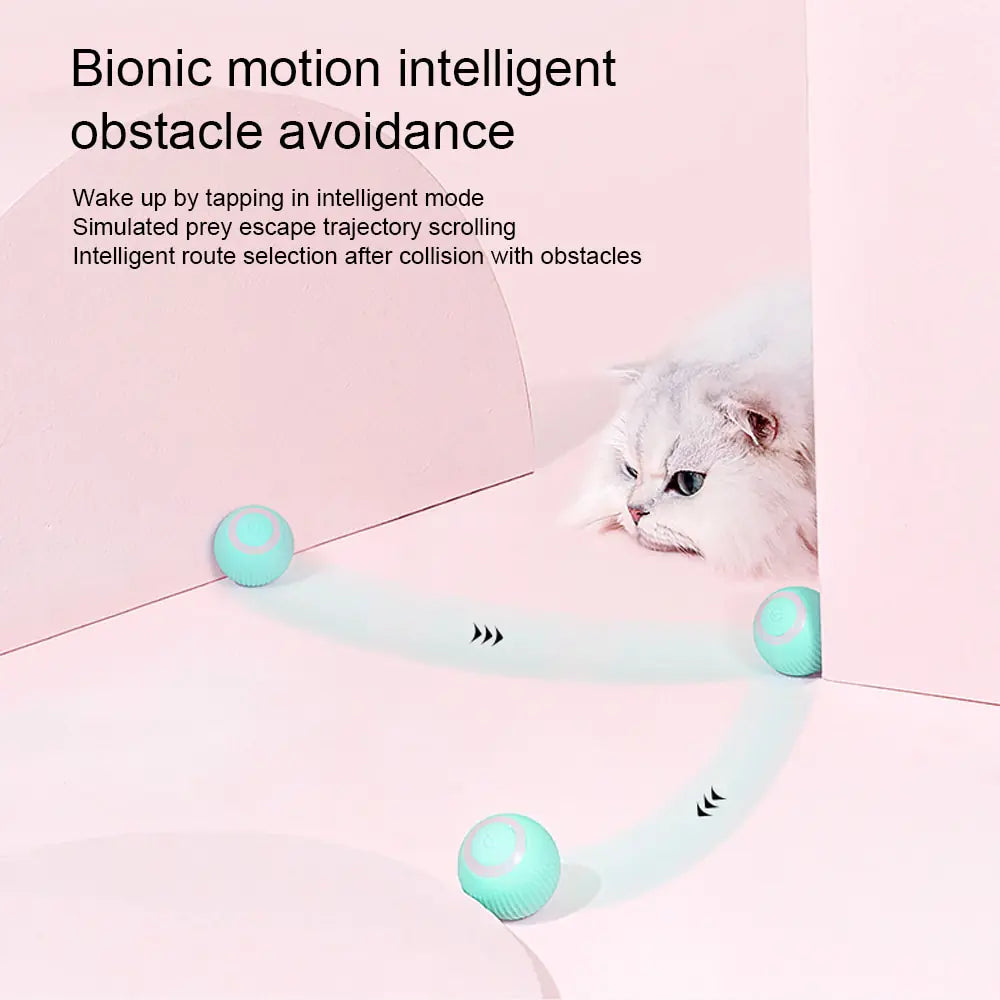 Self Moving Kitten Toys - PetSelect.Shop