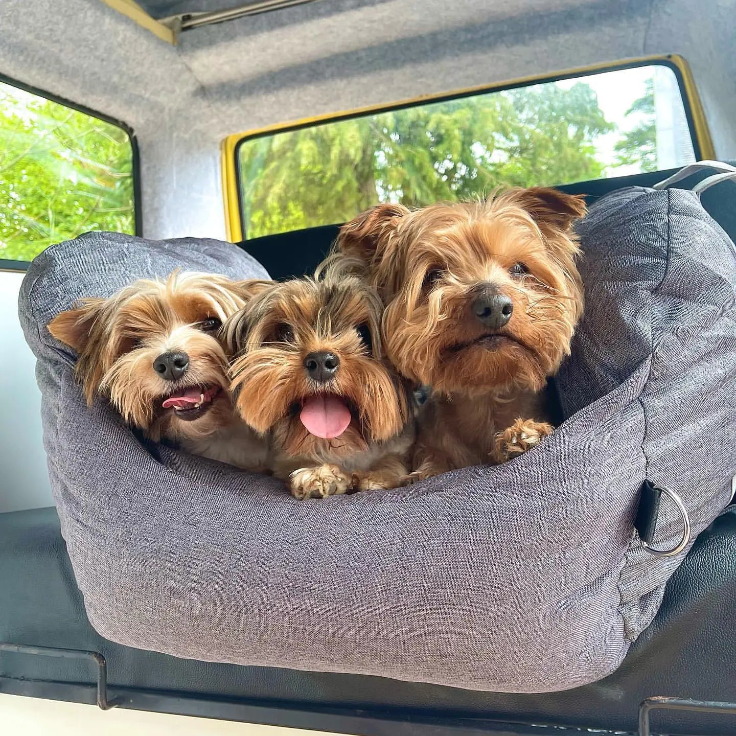 Pet Travel Bed - PetSelect.Shop