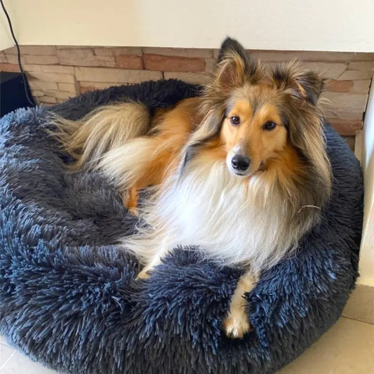 Pet Plush Bed Calming Basket - PetSelect.Shop